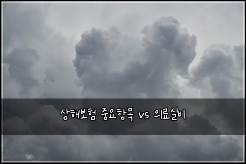 상해보험 중요항목  vs 의료실비