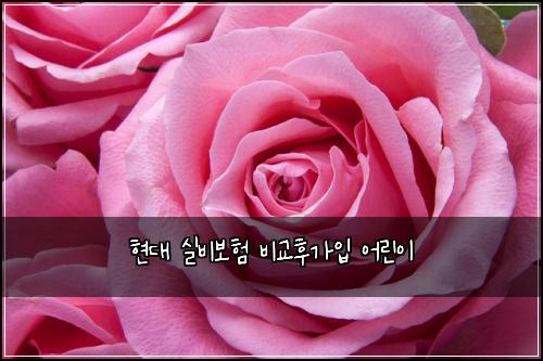 현대 실비보험 비교후가입  어린이