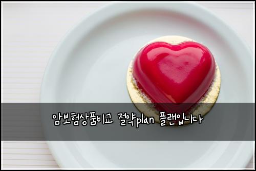 암보험상품비교 절약plan 플랜입니다