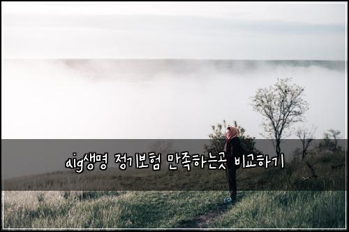 aig생명 정기보험 만족하는곳  비교하기