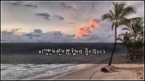 ๋น๊ฐฑ์ ์ด๋ฆฐ์ด๋ณดํ์ ์ฉ์ดํ๋ค