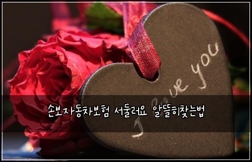 ์๋ณด์๋์ฐจ๋ณดํ ์๋๋ฌ์ ์๋ฐํ์ฐพ๋๋ฒ