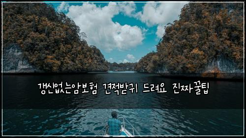 갱신없는암보험 견적받귀  드려요 진짜꿀팁