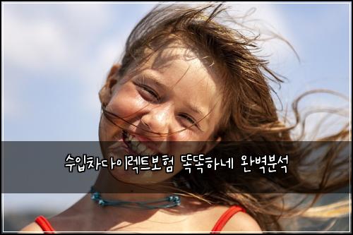 수입차다이렉트보험 똑똑하네  완벽분석