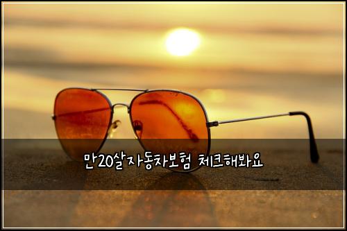 ๋ง20์ด์๋์ฐจ๋ณดํ ์ฒดํฌํด๋ด์