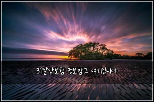 37살암보험 정보참고  여기입니다