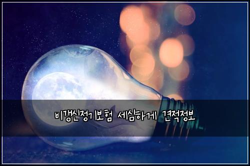 비갱신정기보험 세심하게  견적정보