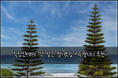 ์ง์ฅ์ธ์๊ฒ ๋ฑ ๋ง๋ ์ ๊ธฐ๋ณดํ ์ด๋์ฑ๊ธฐ๊ธฐ ์ถ์ฒ