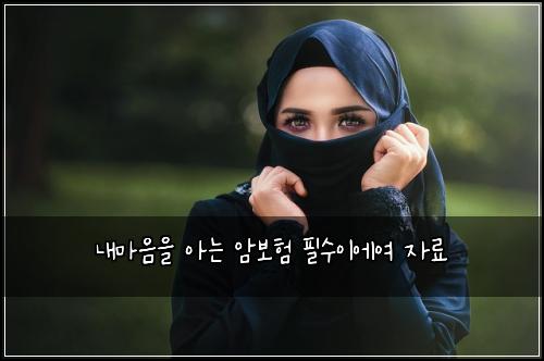 내마음을 아는 암보험 필수이에여  자료