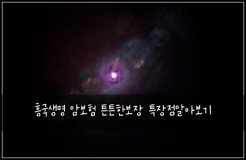 흥국생명 암보험 튼튼한보장  특장점알아보기