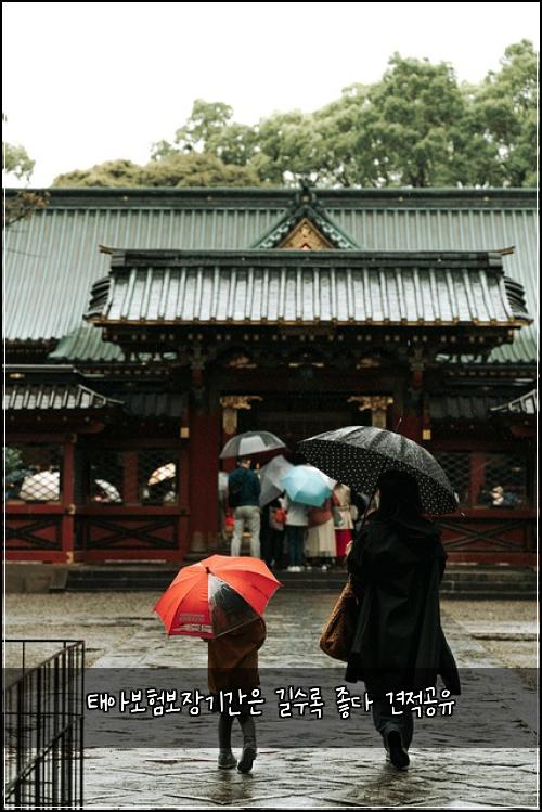 태아보험보장기간은 길수록 좋다 견적공유