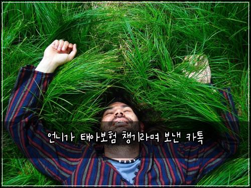 언니가 태아보험 챙기라며 보낸 카톡