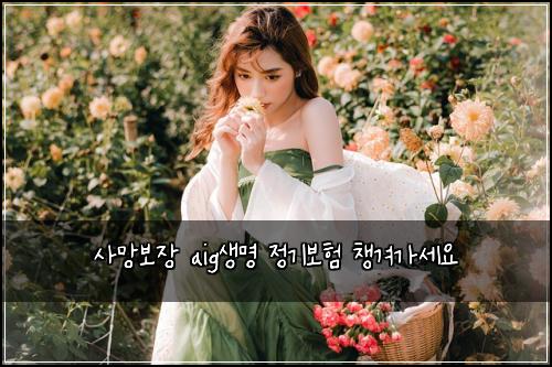 ์ฌ๋ง๋ณด์ฅ aig์๋ช
์ ๊ธฐ๋ณดํ ์ฑ๊ฒจ๊ฐ์ธ์