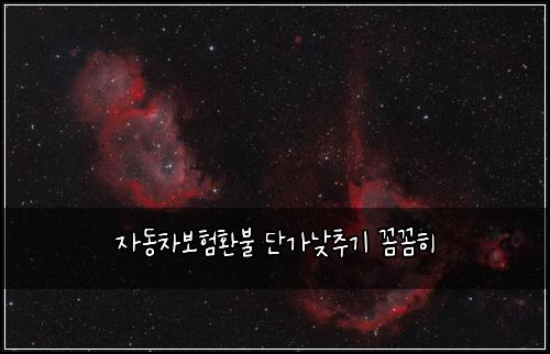 ์๋์ฐจ๋ณดํํ๋ถ ๋จ๊ฐ๋ฎ์ถ๊ธฐ ๊ผผ๊ผผํ