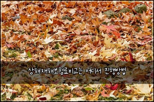 상해재해보험료비교는 어디서 진행방법