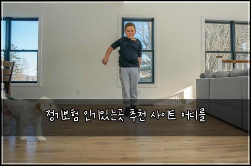정기보험 인기있는곳  추천 사이트 어디를