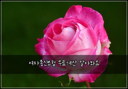 ์ฌ์์ข
์ ๋ณดํ ๋ฌด๋ฃ๊ณ์ฐ ์์๋ด์