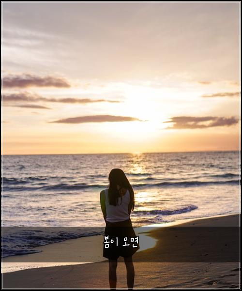 봄이 오면