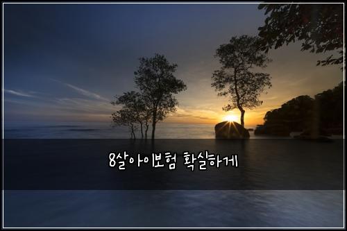 8์ด์์ด๋ณดํ ํ์คํ๊ฒ
