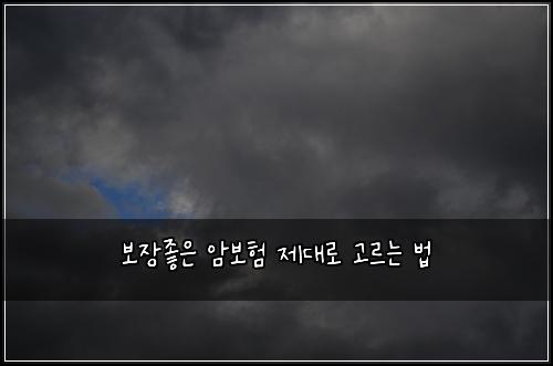 보장좋은 암보험 제대로 고르는 법