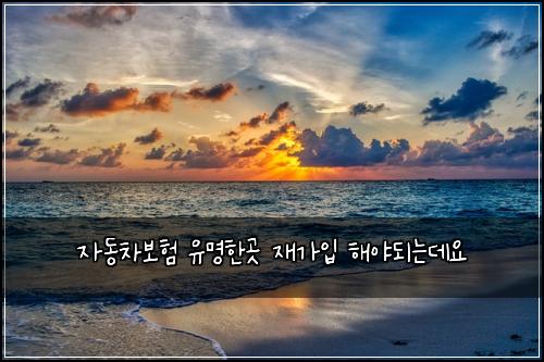 μλ차보ν μ λͺ
νκ³³ μ¬κ°μ
ν΄μΌλλλ°μ