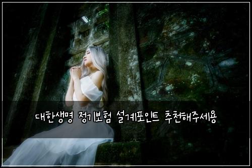 대한생명 정기보험 설계포인트  추천해주세용