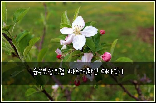 ์์๋ณด์ฅ๋ณดํ ๋น ๋ฅด๊ฒํ์ธ ํ์์ค๋น