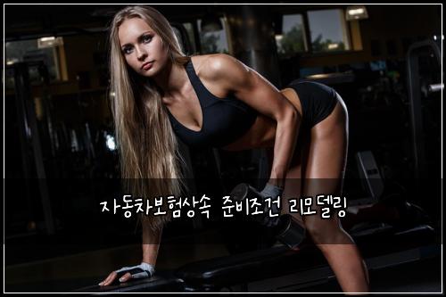 자동차보험상속 준비조건 리모델링