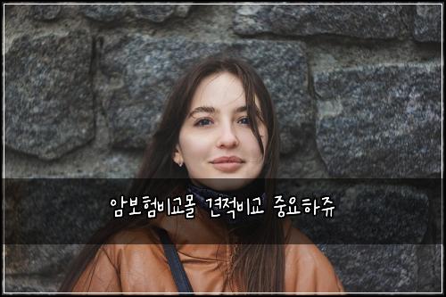 암보험비교몰 견적비교 중요하쥬