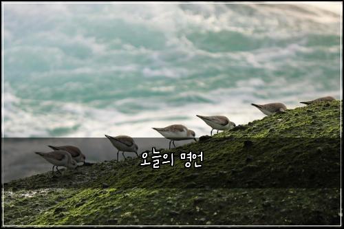 오늘의 명언