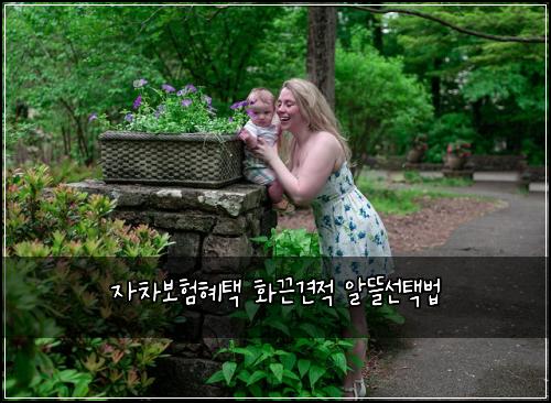 자차보험혜택 화끈견적 알뜰선택법
