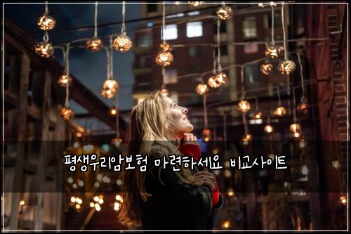 평생우리암보험 마련하세요  비교사이트