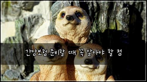 간암보험 준비할 때 꼭 알아야 할 점