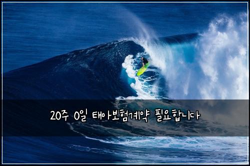20주 0일 태아보험계약 필요합니다