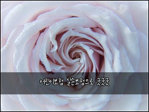 어린이보험 실손보험으로 굿굿굿