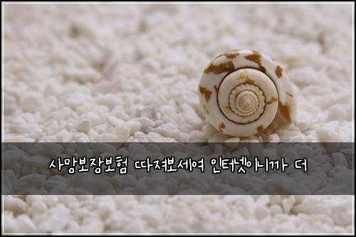 사망보장보험 따져보세여  인터넷이니까 더
