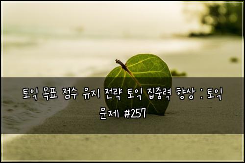 토익 목표 점수 유지 전략 토익 집중력 향상 : 토익 문제 #257