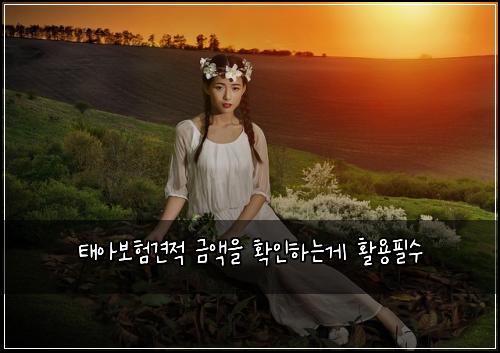 태아보험견적 금액을 확인하는게 활용필수