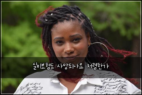 실비보험도 사망되나요 저렴한가