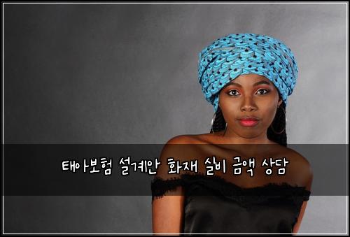태아보험 설계안  화재 실비 금액 상담
