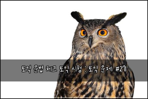 토익 문법 체크 토익 시험 : 토익 문제 #271