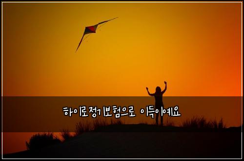 하이로정기보험으로 이득이예요