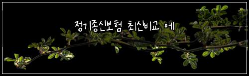 정기종신보험 최신비교  에