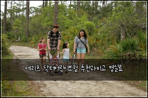 메리츠 닥터어린이보험 추천과비교  병실료