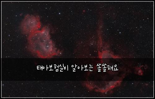태아보험실비 알아보는 쏠쏠해요