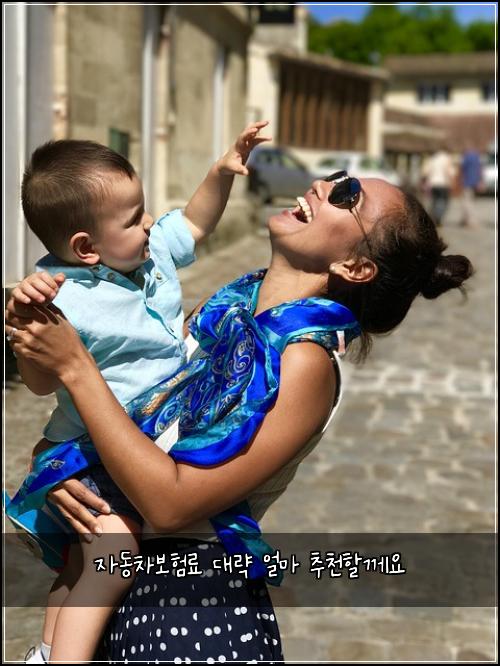 자동차보험료 대략 얼마 추천할께요