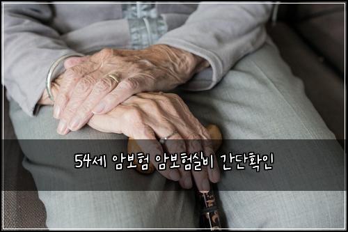 54์ธ ์๋ณดํ ์๋ณดํ์ค๋น ๊ฐ๋จํ์ธ