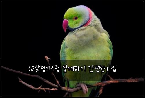 62์ด์ ๊ธฐ๋ณดํ ์ค๊ณํ๊ธฐ ๊ฐํธํ๊ฐ์