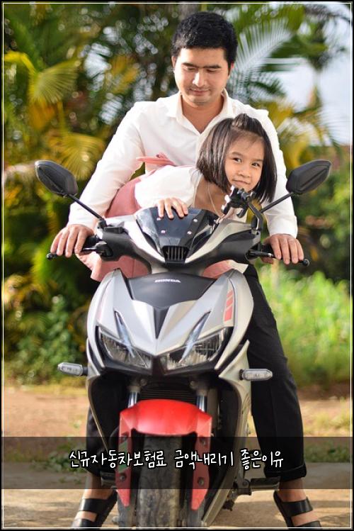 ์ ๊ท์๋์ฐจ๋ณดํ๋ฃ ๊ธ์ก๋ด๋ฆฌ๊ธฐ ์ข์์ด์
