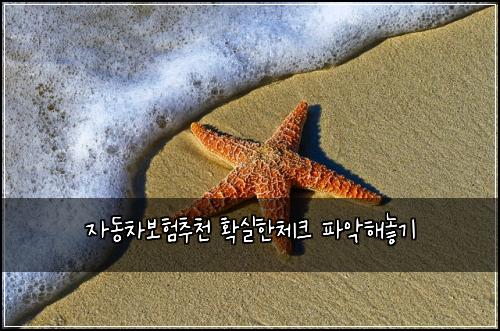 ์๋์ฐจ๋ณดํ์ถ์ฒ ํ์คํ์ฒดํฌ ํ์
ํด๋๊ธฐ